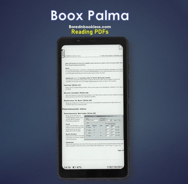 Boox Palma Reading PDF