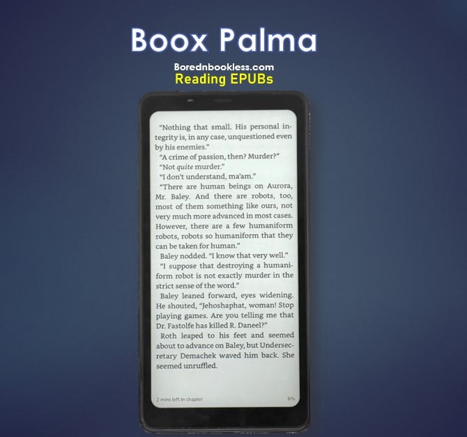 Boox Palma Reading